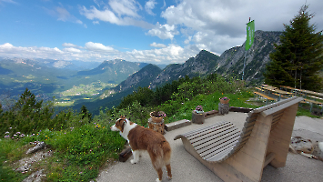 Rund um die Hütte_15