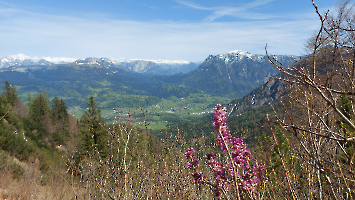 Rund um die Hütte_1