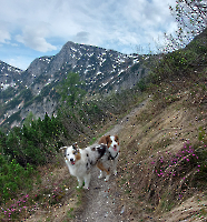 Rund um die Hütte