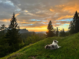 Rund um die Hütte_30